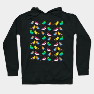 Variety of Small Birds Hoodie